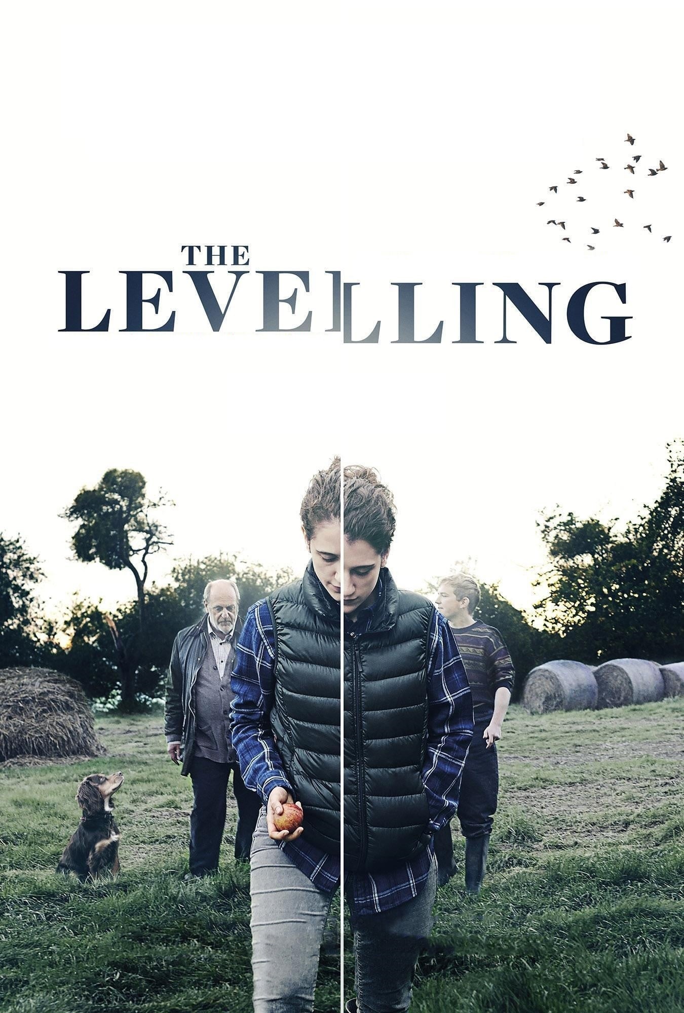 Постер The Levelling